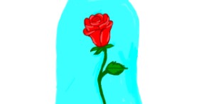 Drawing of Rose by Alexis