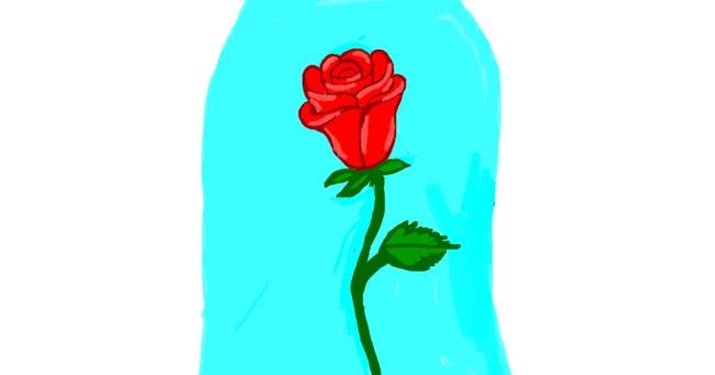 Drawing of Rose by Alexis