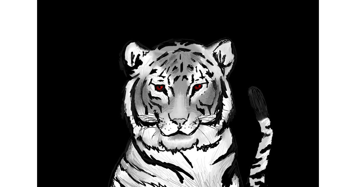 Drawing of Tiger by rooster