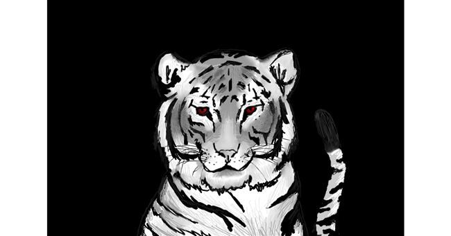 Drawing of Tiger by rooster
