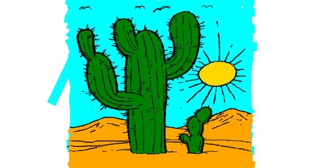 Drawing of Cactus by Drawn