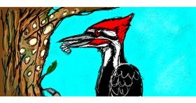 Drawing of Woodpecker by GrimReaper