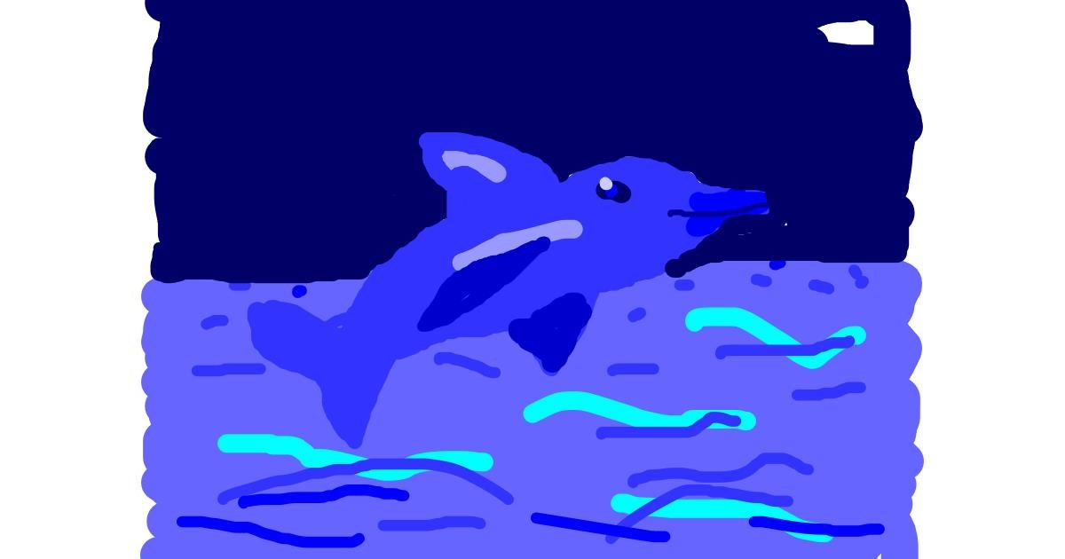 Drawing of Dolphin by hadryan