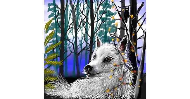 Drawing of Wolf by Leah