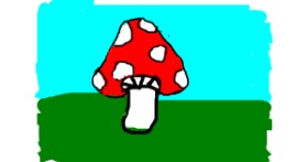 Gljiva - autor: m