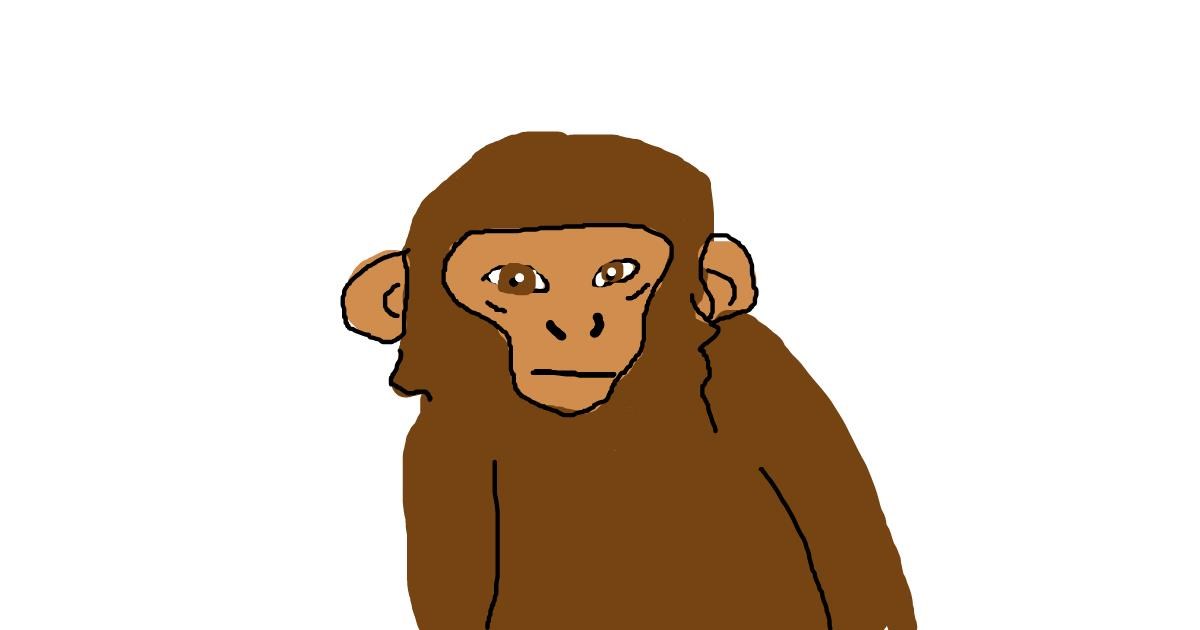 Drawing of Monkey by lol