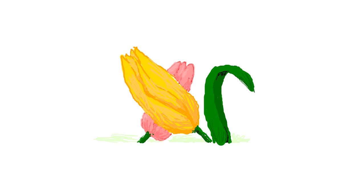 Drawing of Tulips by 7y3e1l1l0o§