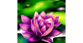 Drawing of Water lily by Elliev