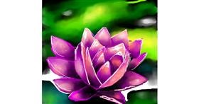 Drawing of Water lily by Elliev