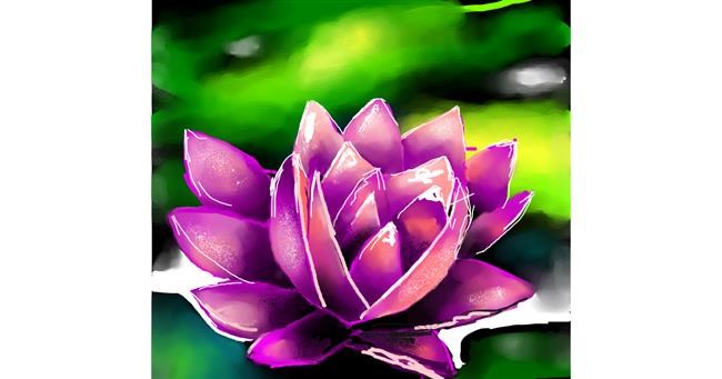 Drawing of Water lily by Elliev