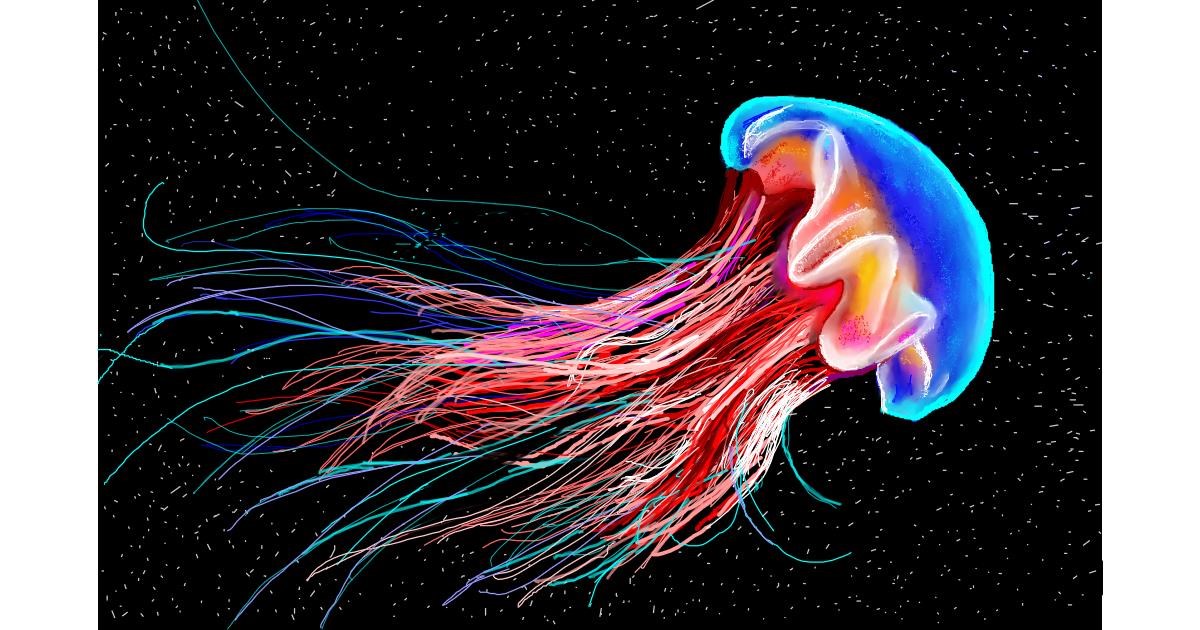 Drawing of Jellyfish by GJP