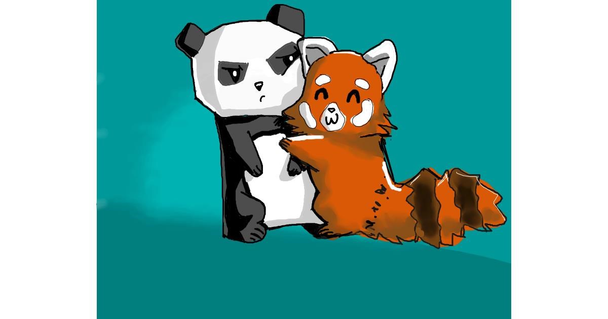 Roter Panda Zeichnung Von Drawize Galerie