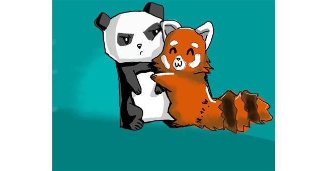 Roter Panda-Zeichnung von 🍔🍟🇺🇸