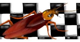 Drawing of Cockroach by justme❤️