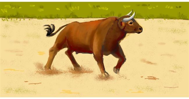 Drawing of Bull by shiNIN