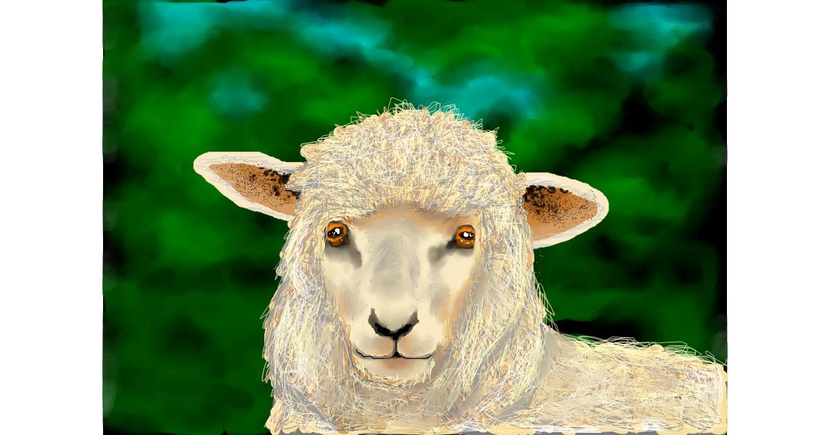 Drawing of Sheep by DaVinky