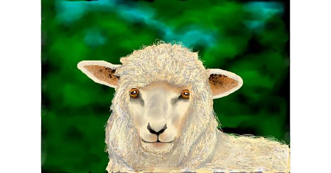 Drawing of Sheep by DaVinky
