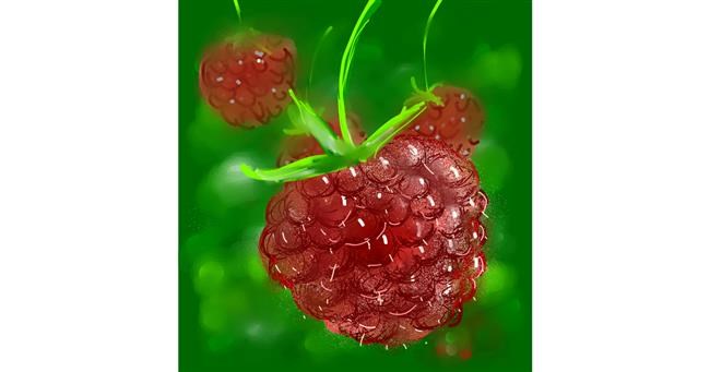Drawing of Raspberry by Eclat de Lune