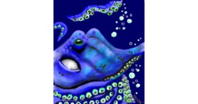 Drawing of Octopus by GreyhoundMama