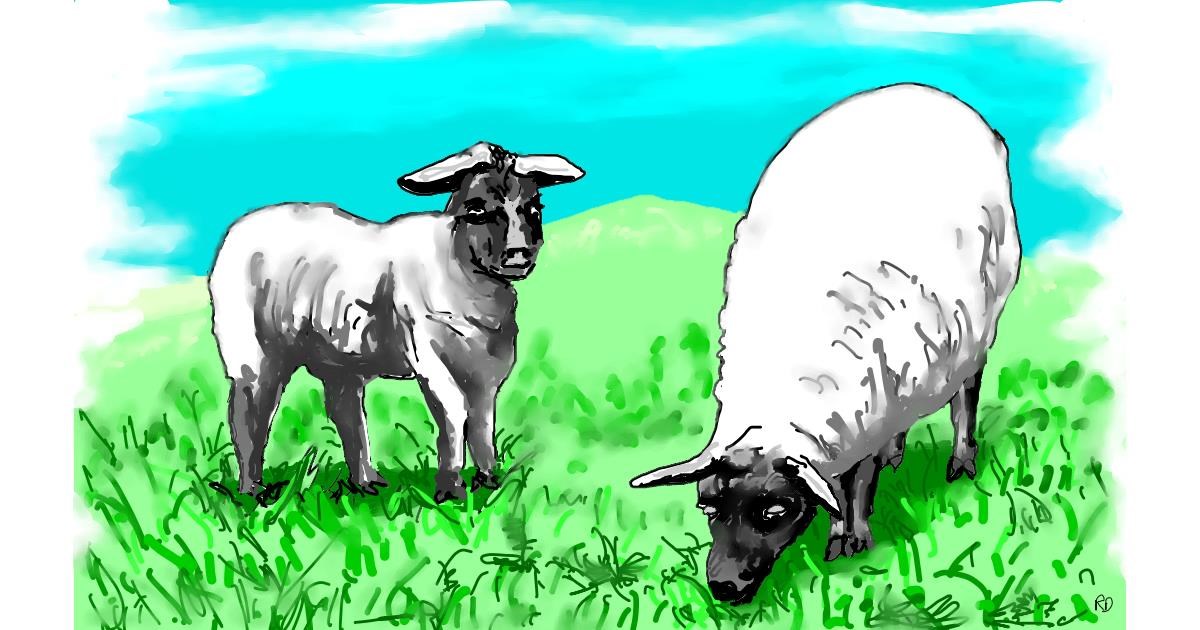 Watch Flowerpot Draw Sheep