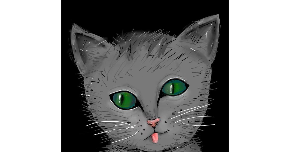 Drawing of Kitten by Peek