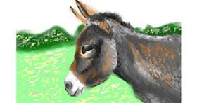 Magarac - autor: DrawSomething