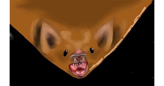 Drawing of Bat by No stylus used