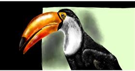 Drawing of Toucan by Eclat de Lune