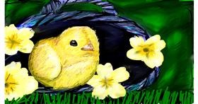 Drawing of Easter chick by Mia