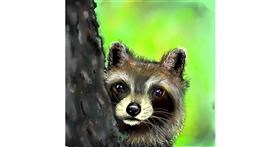 Drawing of Raccoon by Leah