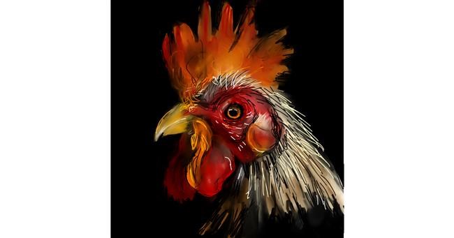 Drawing of Rooster by KayXXXlee