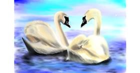 Drawing of Swan by Wizard