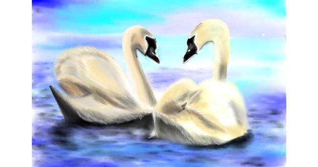 Drawing of Swan by Wizard