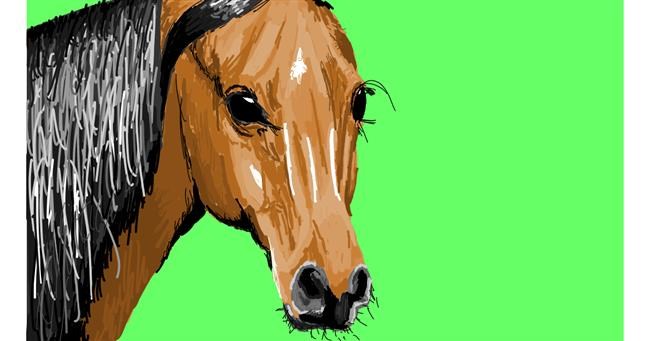 Drawing of Horse by Sam