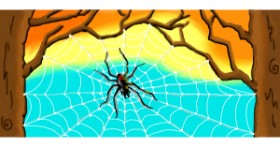 Drawing of Spider web by DebbyLee