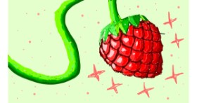 Drawing of Raspberry by Sam