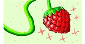 Drawing of Raspberry by Sam