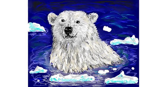 Drawing of Polar Bear by Kira