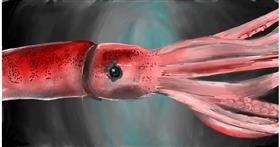 Drawing of Squid by Mia