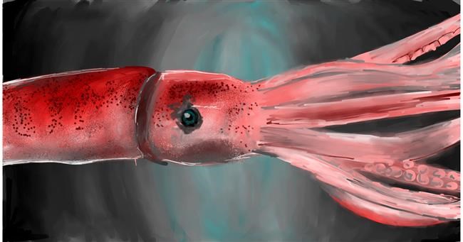 Tintenfisch-Zeichnung von Mia
