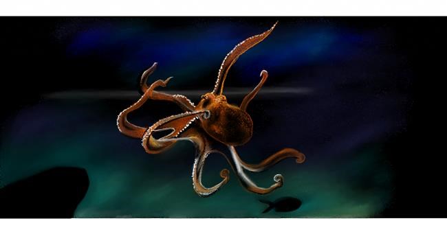 Drawing of Squid by Chaching