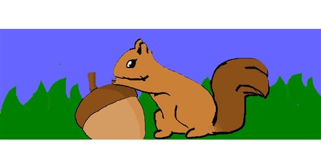Drawing of Squirrel by Jackie