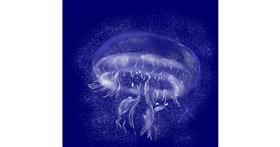 Drawing of Jellyfish by Eclat de Lune