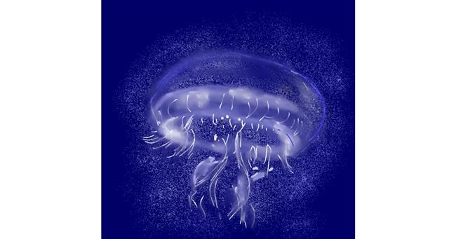 Drawing of Jellyfish by Eclat de Lune