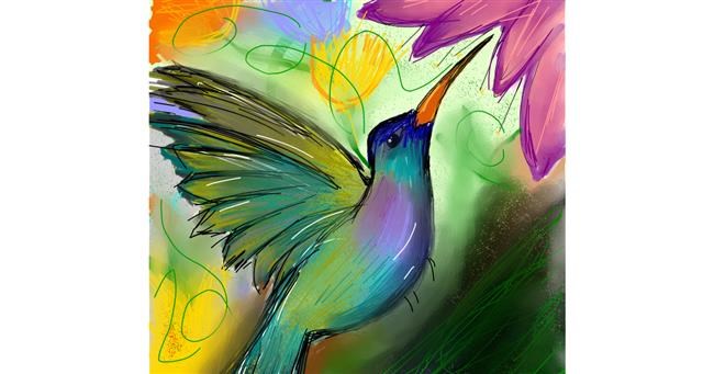 Drawing of Hummingbird by Zeemal