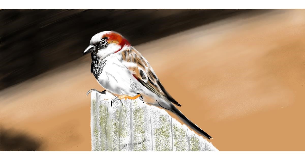 Full Size Drawing