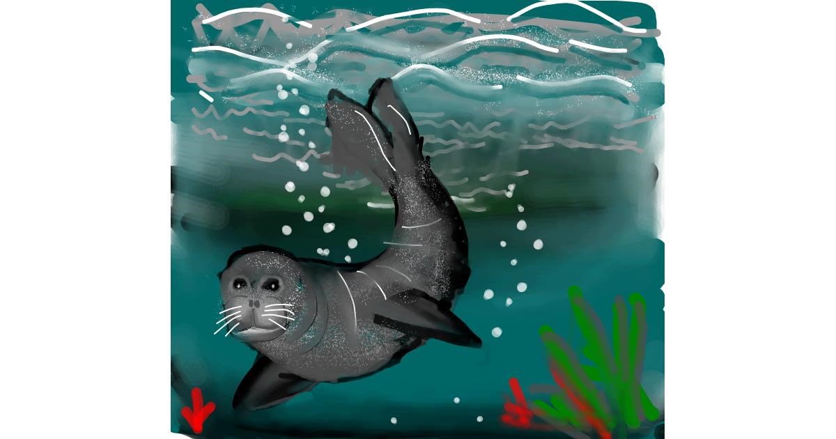 Drawing of Seal by Naaz