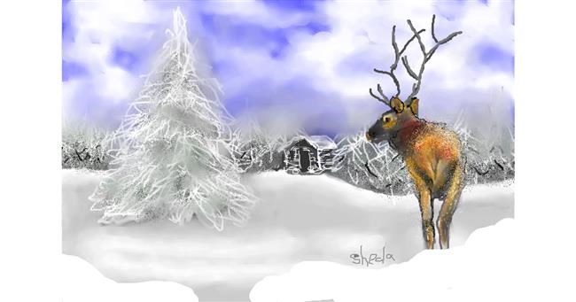 Drawing of Reindeer by Kai 🐾