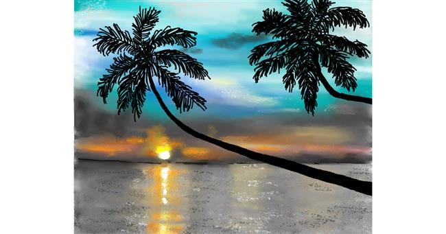 Drawing of Palm tree by Cec