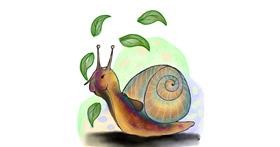 Drawing of Snail by SP